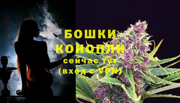 хмурый Бронницы